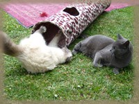 Eyal et Fanou font les fous dans le jardin