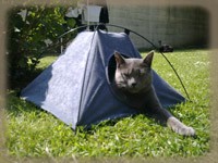 Eyal fait du camping dans son tipi